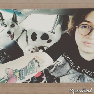 Meet your Posher, Dorian